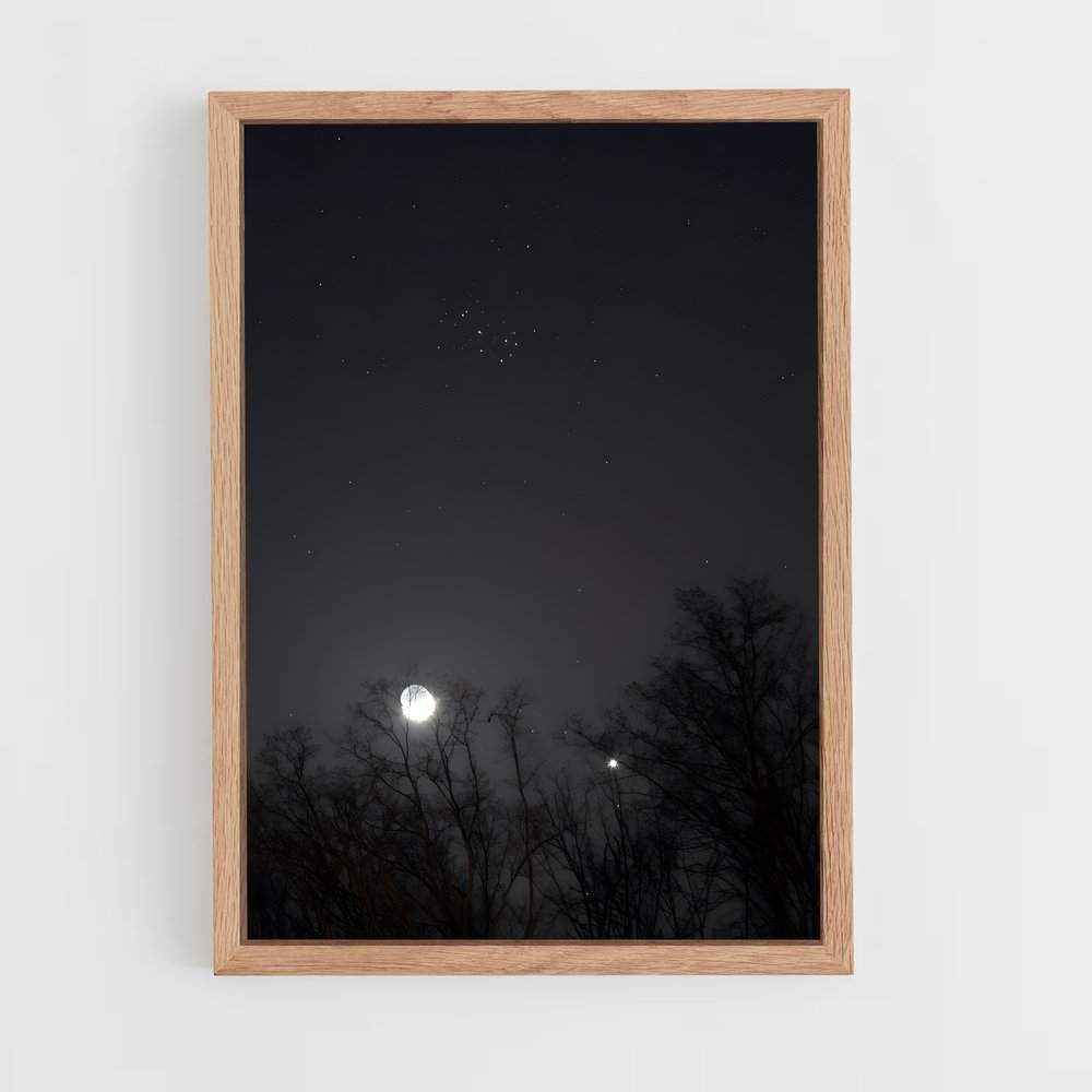Poster Petite Ourse Étoilée – affiche Constellations (vue 4)